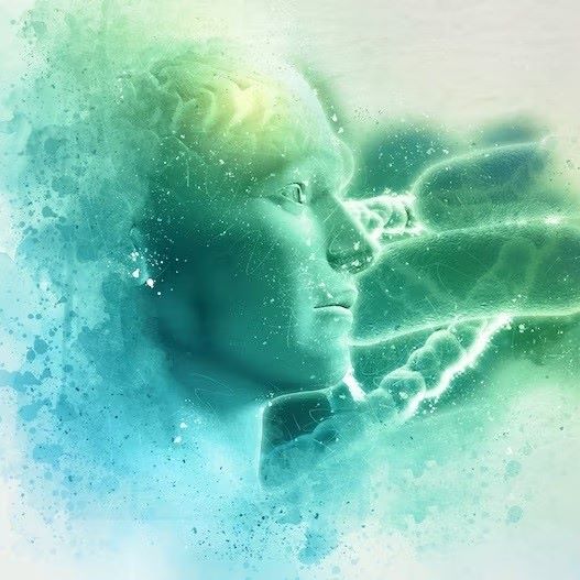 The Science Behind the Mind-Body Connection