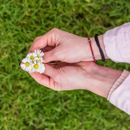 Unlocking the Potential of Herbal Medicine